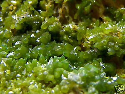 Old Stock Pyromorphite from the Wheatley Mine