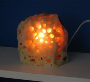 Sponge Calcite Lamp from Brazil