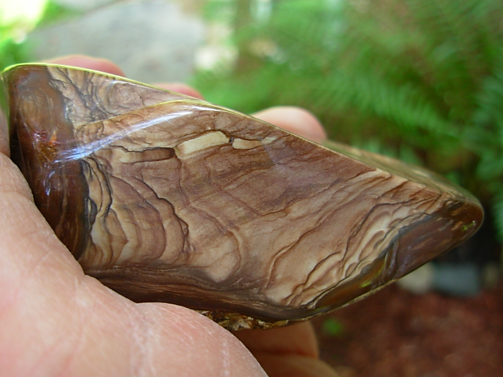 Polished Deschutes Jasper from Elkins Gem Stones