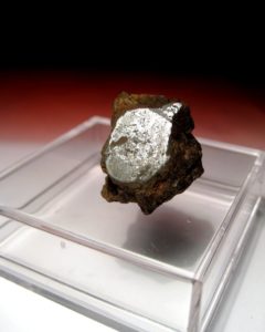 Vaca Muerta Mesosiderite 9g Sliced and Polished
