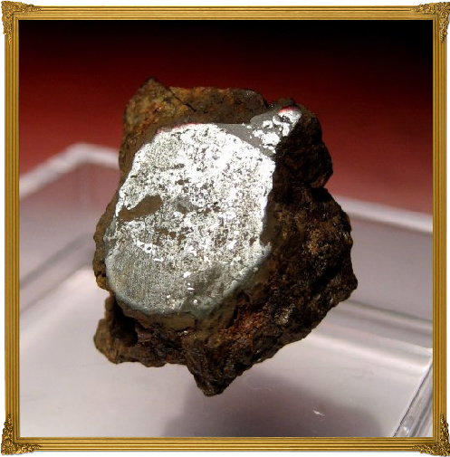 Vaca Muerta Mesosiderite 9g Sliced and Polished