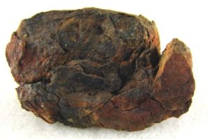 Vaca Muerta Mesosiderite 51g