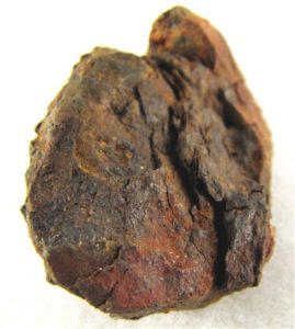 Vaca Muerta Mesosiderite 51g