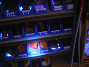 Way Too Cool C8 at 3ft_