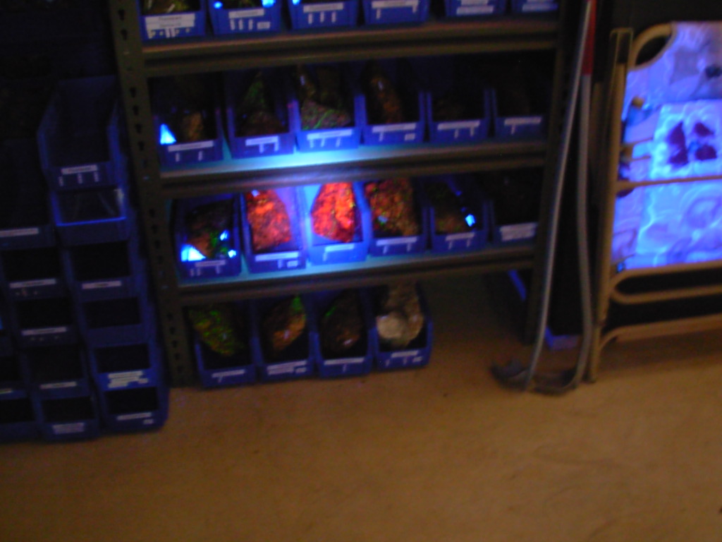 Way Too Cool C8 at 6ft