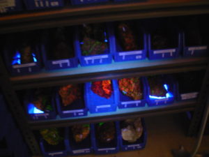 Way Too Cool S2-6 at 3ft