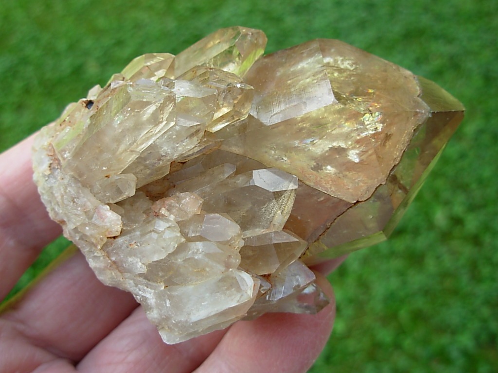 Citrine 4 (12)