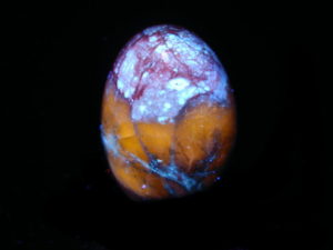 Hackmanite_Egg_Way Too Cool C8 LW