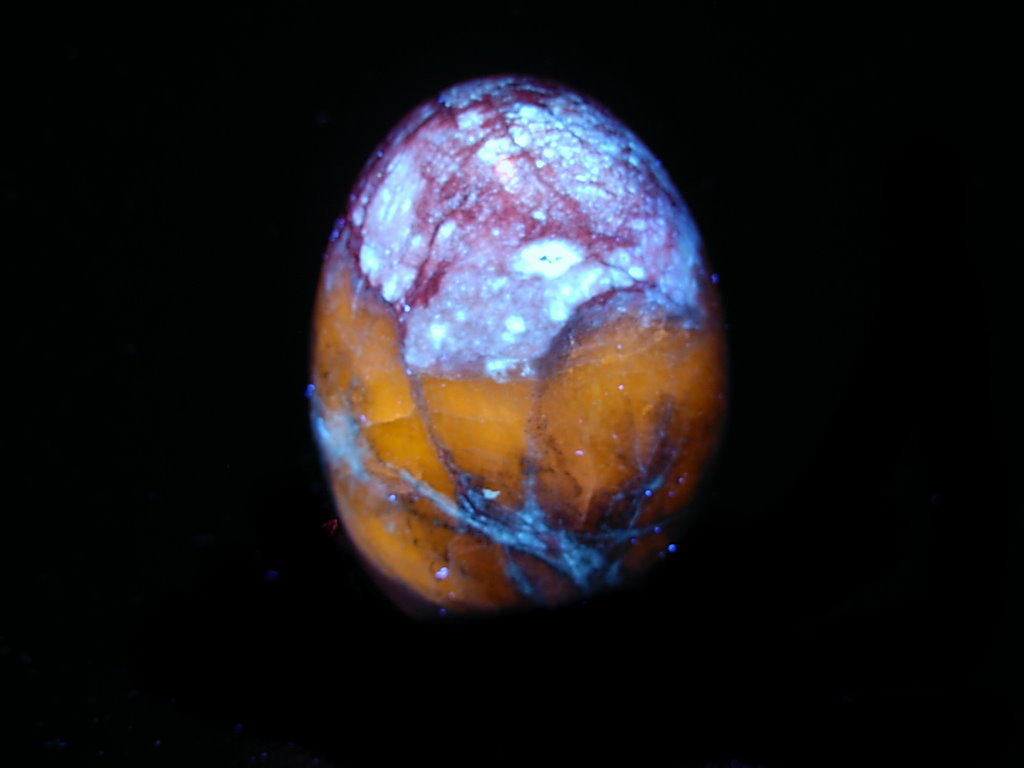 Hackmanite_Egg_Way Too Cool C8 LW