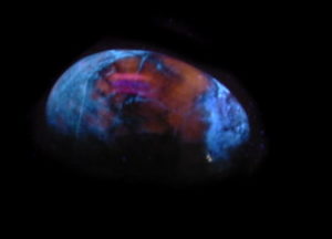 Hackmanite_SW+LW_Fluorescent_Egg