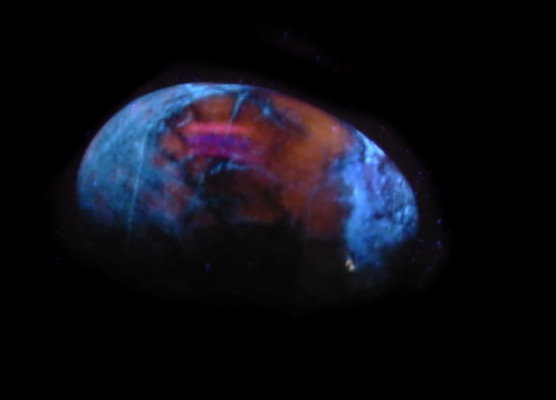 Hackmanite_SW+LW_Fluorescent_Egg