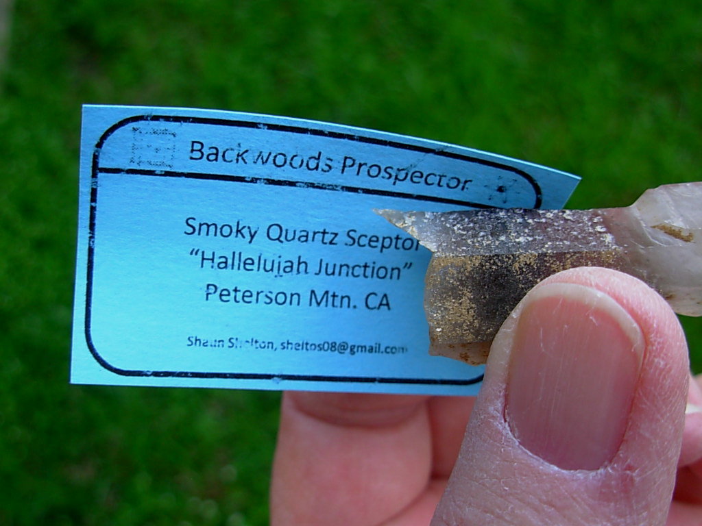 Hallelujia_Junction_Quartz_Scepter_15_