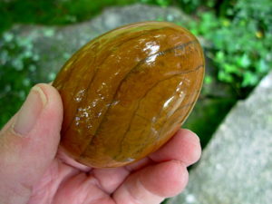 Jasper_Egg_Italy_1_