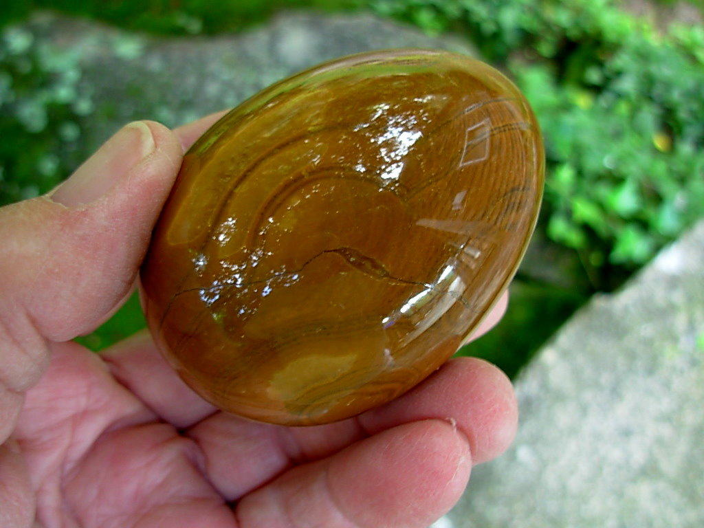 Jasper_Egg_Italy_5_