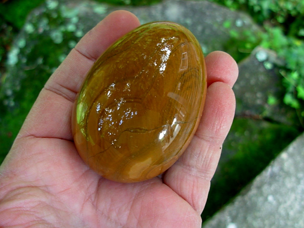 Jasper_Egg_Italy_6_