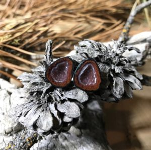 Marquez Mining Tabasco Geode