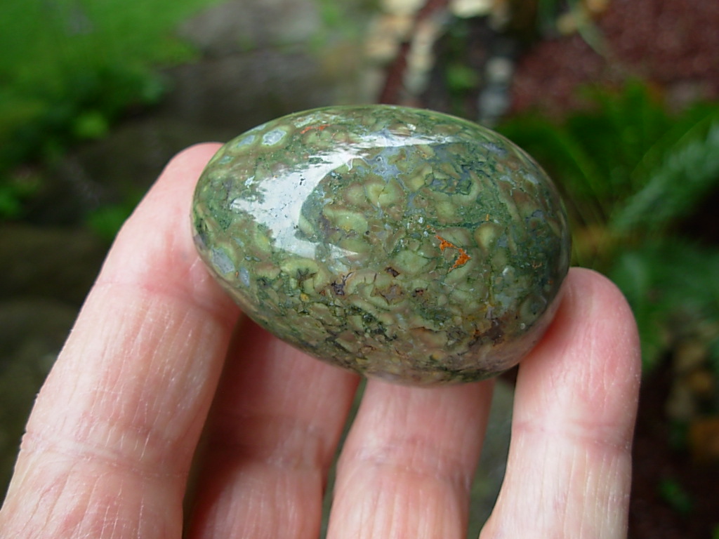 Rain_Forest_Jasper_Egg_6_