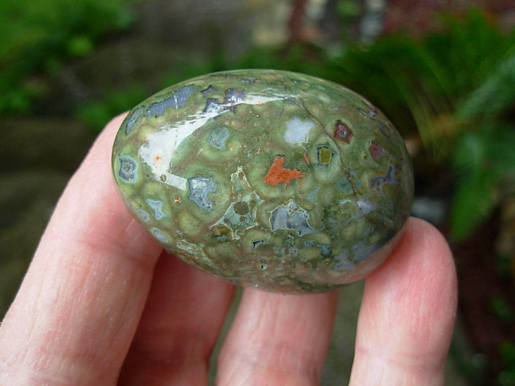 Rain_Forest_Jasper_Egg_7_