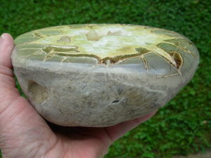 Septarian 2 (11)