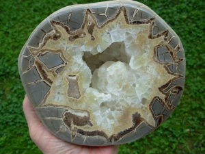 Septarian 2 (8)