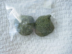 Tabasco Geode pair 2 (2)