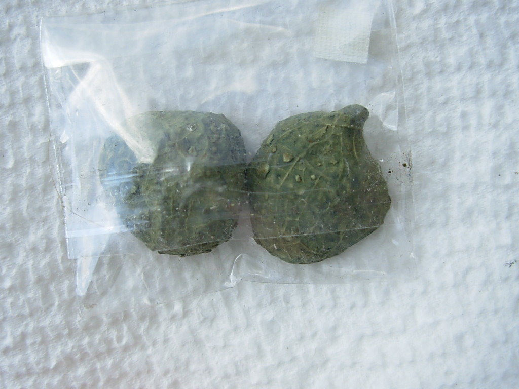 Tabasco Geode pair 2 (2)