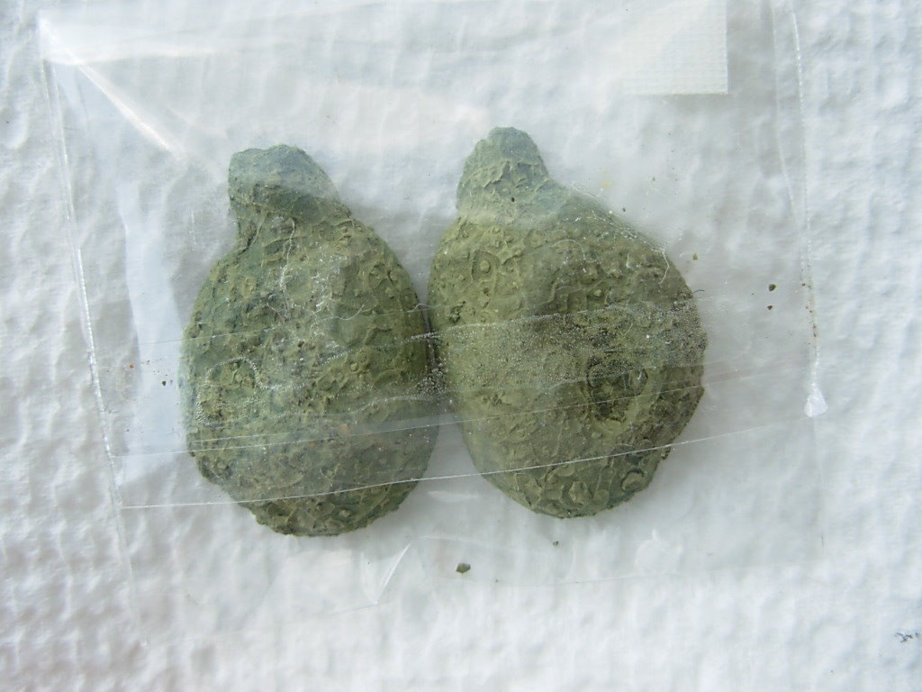 Tabasco Geode pair 3 (2)