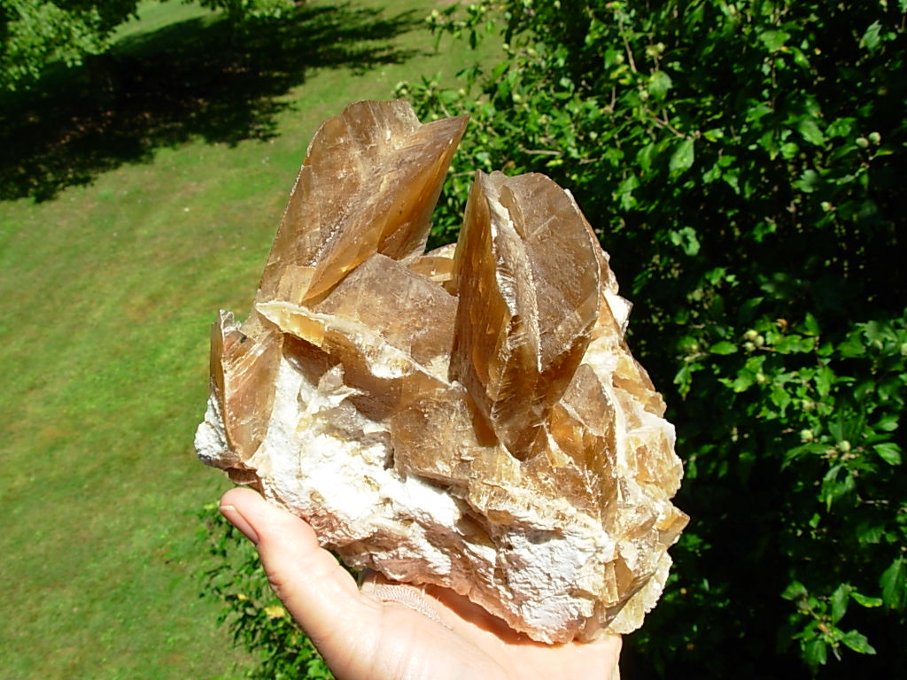 Golden_Fishtail_Selenite_1960_s_Peru_13_