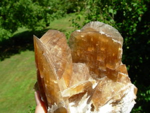 Golden_Fishtail_Selenite_1960_s_Peru_24_