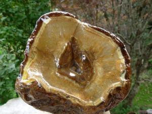 River Agate 2 (11)