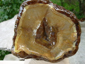 River Agate 2 (2)