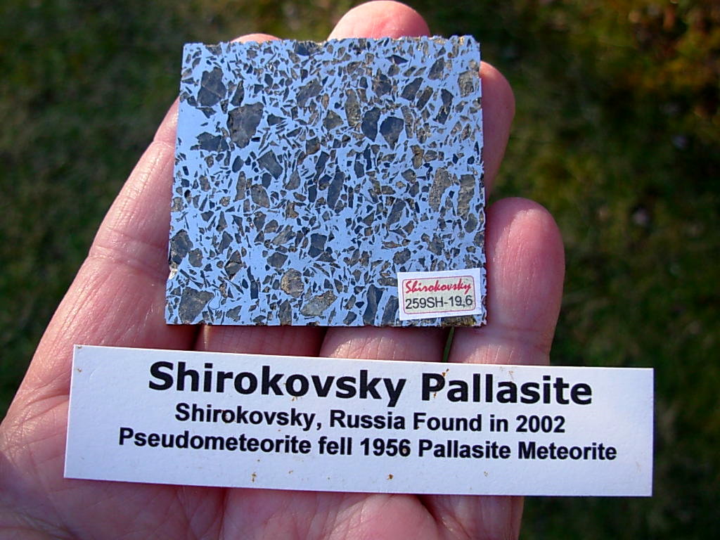 Shirokovsky Pallasite