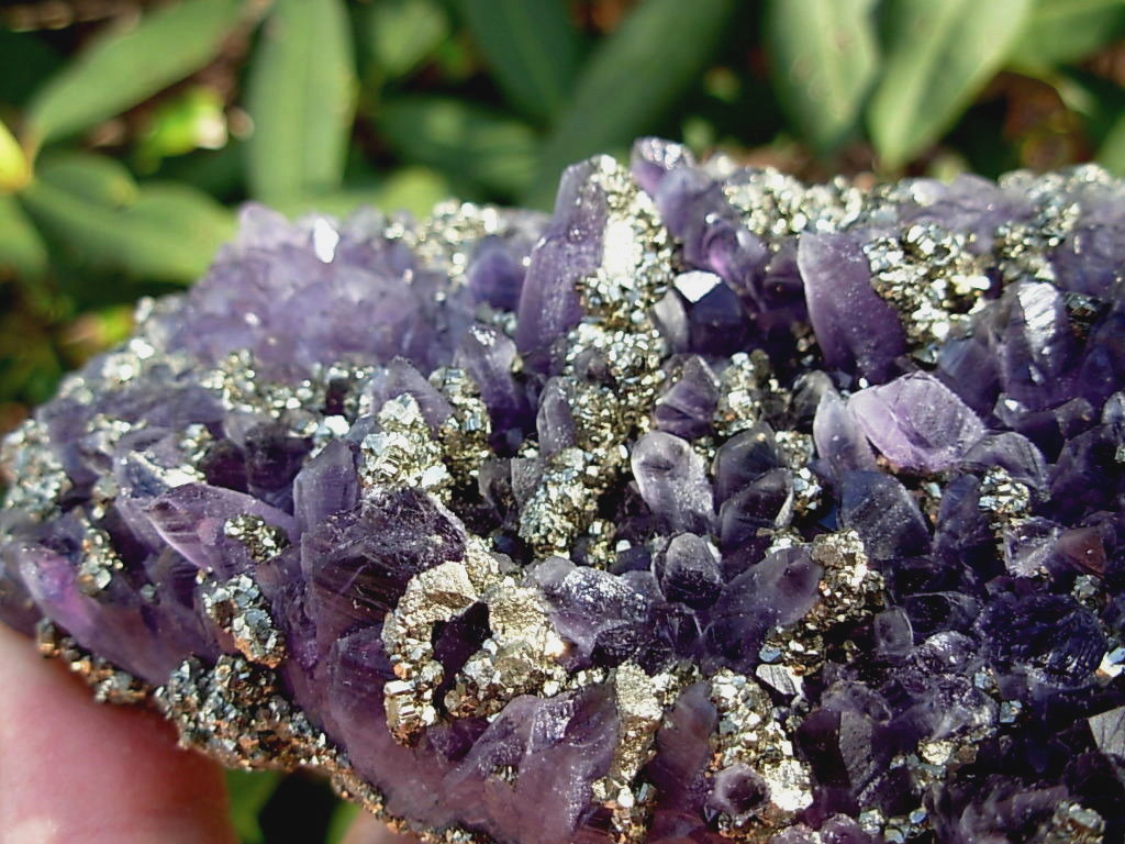1 Amethyst with Pyrite Bulgaria (8)