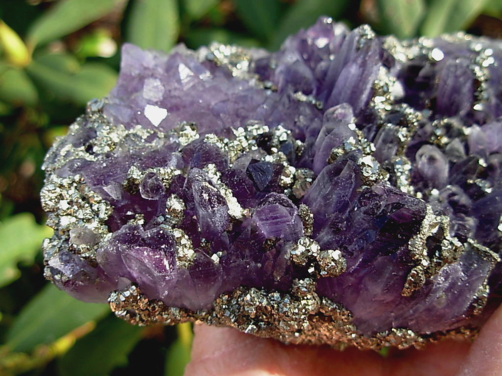 Amethyst and Pyrite from Bulgaria - Spirit Rock Shop