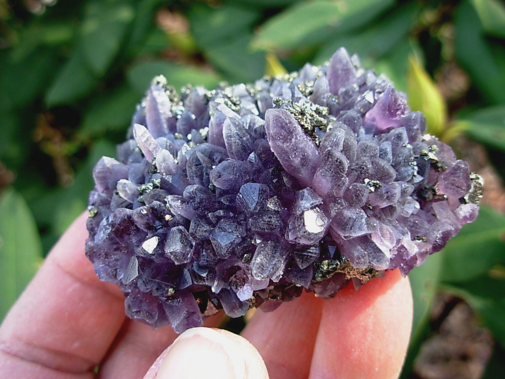 Amethyst and Pyrite from Bulgaria - Spirit Rock Shop