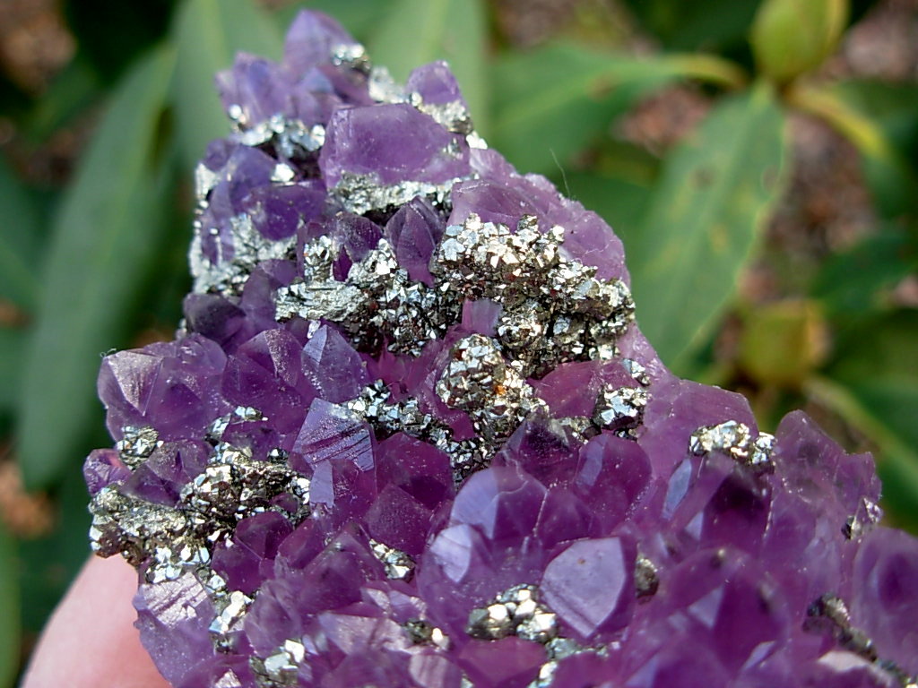5 Amethyst with Pyrite Bulgaria (10)