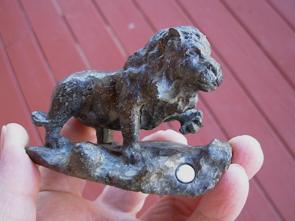 Chondrite Lion 31-04 _41