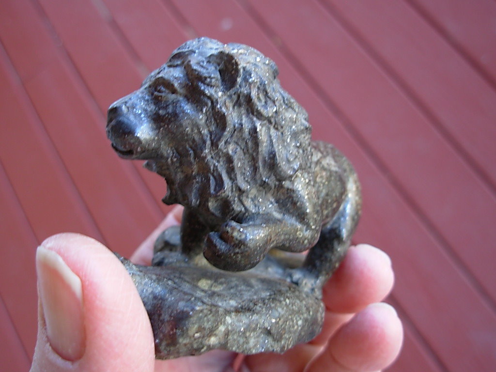 Chondrite Lion 31-04 _43