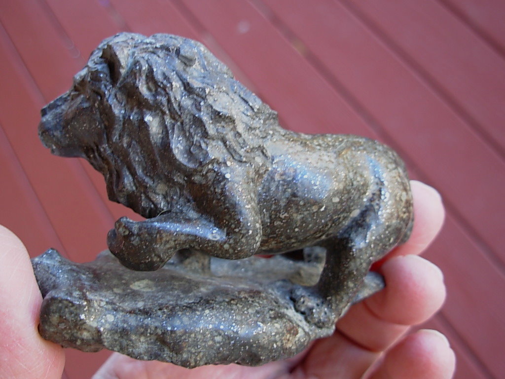 Chondrite Lion 31-04 _44