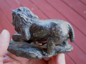 Chondrite Lion 31-04 _45