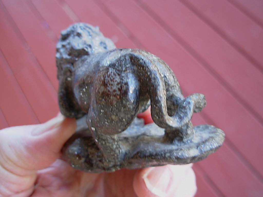 Chondrite Lion 31-04 _46