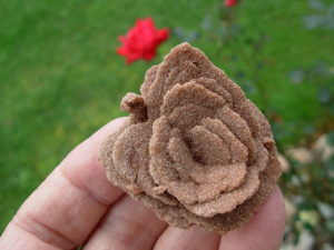 30 OK Rose Rock (3)