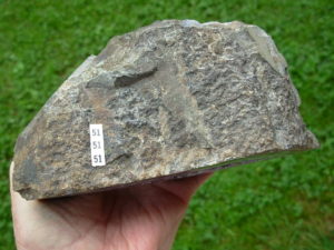 51 Amethyst (2)