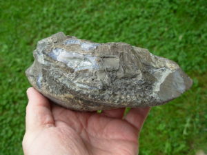 51 Amethyst (4)