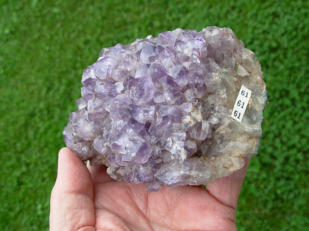 61 Amethyst (2)