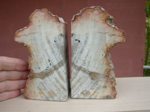 Bookend Set 29 (1)