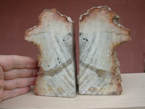 Bookend Set 29 (2)