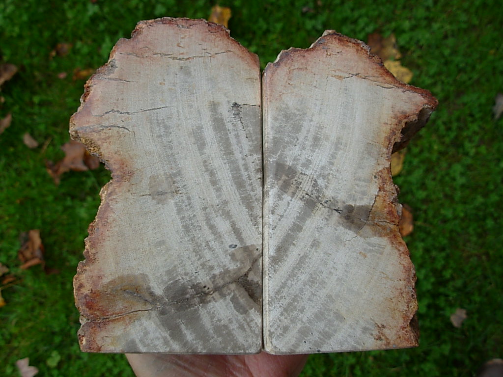 Bookend Set 29 (6)