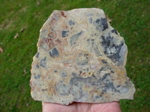 Crazylace Agate 17 (2)