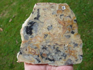 Crazylace Agate 17 (3)